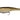 Berkley Cullshad 15cm Shallow Gold Shad 34g