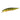 DUO Realis Jerkbait 120SP Gold Perch
