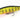 Duo Realis Jerkbait 100SP