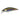 Duo Spearhead Ryuki 50S Lake Yamame