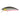 Duo Spearhead Ryuki 50S Mat Black Back RB