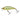 ILLEX Flat Tricoroll 5,5cm S 5,3g