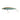 Illex Stream Ripper 7,5cm Secret Aji 10,5g