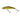 Illex Tricoroll 4,3cm SHW RT Truitelle 3g