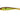 Illex Magic Slim Shad 8cm Magic Muddy Roach 6ks