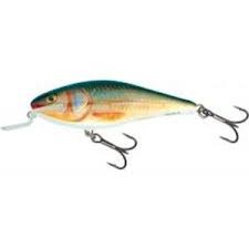 Salmo Executor SR 12 cm 33 g Real Roach