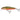 Salmo Minnow Floating M5F 5cm 3g Rainbow Dace