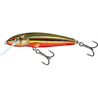 Salmo Minnow M5S 5cm 5g Rainbow Dace