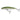 Salmo Minnow M7S Olive Bleak 7 cm 8 g