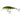 Salmo Executor Shallow Runner Real Perch 9 cm 14,5 g