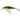 Salmo Executor Shallow Runner Real Perch 7 cm 8 g