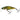 Salmo Wobler Bullhead plávajúci 4,5 cm 3 g