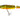 Salmo Pike PE11JF Hot Pike 11 cm 13 g