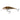 Salmo Executor SR 12 cm 33 g Emerald Perch
