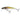 Salmo Minnow M5S Holo Bleak 5 cm 5 g