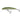 Salmo Minnow M6F Olive Bleak 6 cm 4 g