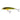 Salmo Minnow M6F holo real minnow 6 cm 4 g