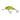 Salmo Rattlin Hornet 3.5cm Floating Clear Ayu 3,1g
