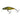 Salmo Bullhead BD6F Bullhead 6 cm 6 g