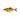 Savage Gear 3D Line Thru Glide Roach CL Rudd 17cm 78g