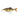 Savage Gear 3D Line Thru Glide Roach Horny Bream 17cm 78g