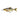 Savage Gear 3D Line Thru Glide Roach Hugo 17cm 78g