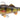 Savage Gear 3D Perch RTF 17,5cm 96g Brown Perch