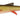 Savage Gear 3D Whitefish Shad Dirty roach 17,5cm 42g 2ks