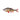 Savage Gear 4D Line Thru Perch