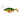 Savage Gear 4D Perch Shad
