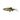 Savage Gear 4D River Roach 18 cm 70 g