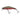 Illex Tricoroll 4,3cm SHW Mat Rainbow Trout 3g