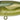 Illex Chubby Popper Cockroach 4,2cm 3,3g