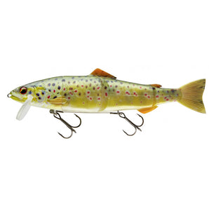Prorex Hybrid Trout 23cm 120g live brown trout