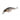 Daiwa Tournament Wise Minnow 50FS 5cm 5,2g