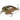 Duo Realis Crank 40F Midroller