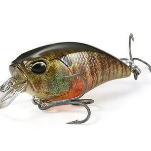 Duo Realis Crank 40F Midroller