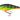 Salmo Executor SR 12 cm 33 g Real Hot Perch