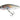 Salmo Perch PH8DR Holo Grey Shiner 8 cm 14 g