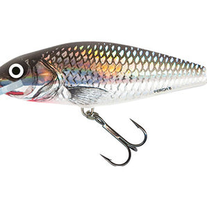 Salmo Perch PH8DR Holo Grey Shiner 8 cm 14 g