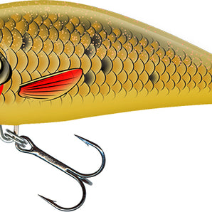 Salmo Fatso S 10 cm 52 g Golden Bait