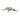 Salmo Frisky FR7DR Real Dace 7 cm 9 g