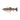 Westin Tommy Trout Multi Jointed R2F Sinking 16cm 52g Real Rainbow Trout 1ks