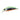 Duo Spearhead Ryuki 50S Lime Yamame OB 5cm 4,5g