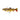 Westin Tommy Trout Multi Jointed R2F Sinking 16cm 52g Real Trout 1ks