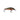 Salmo Minnow M5S 5cm 5g Rainbow Dace