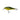 Salmo Executor Shallow Runner Real Hot Perch 9 cm 14,5 g