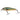 Salmo Minnow M7F Lake Charr 7 cm 6 g